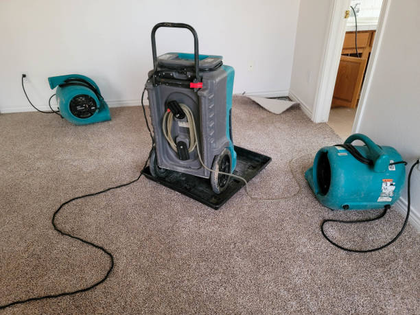 Best Carpet water damage restoration  in Quinlan, TX