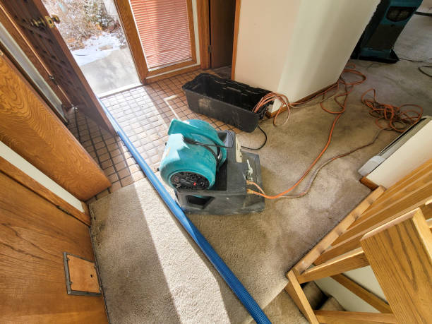 Best Water damage restoration near me  in Quinlan, TX