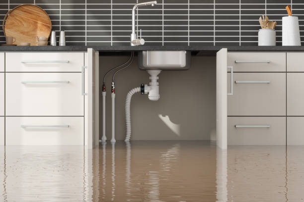 Best Local water damage restoration  in Quinlan, TX